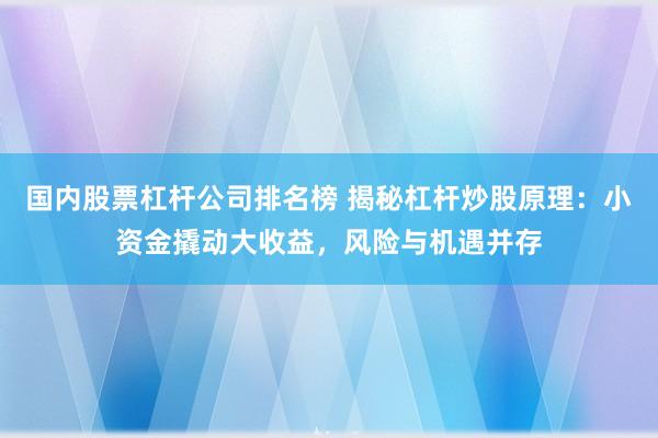 国内股票杠杆公司排名榜 揭秘杠杆炒股原理：小资金撬动大收益，风险与机遇并存