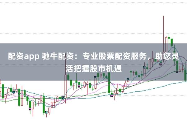 配资app 驰牛配资：专业股票配资服务，助您灵活把握股市机遇