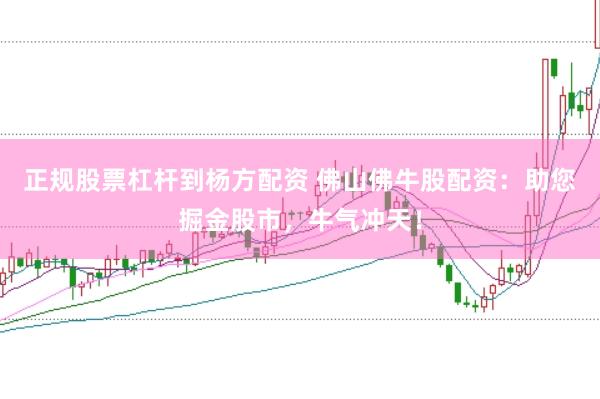 正规股票杠杆到杨方配资 佛山佛牛股配资：助您掘金股市，牛气冲天！