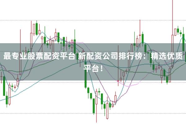 最专业股票配资平台 新配资公司排行榜：精选优质平台！