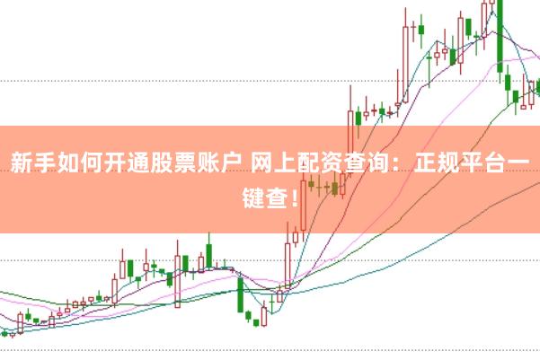 新手如何开通股票账户 网上配资查询：正规平台一键查！