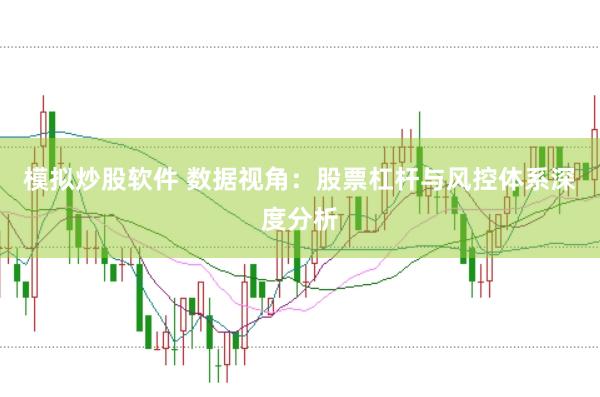 模拟炒股软件 数据视角：股票杠杆与风控体系深度分析