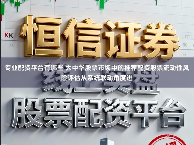 专业配资平台有哪些 大中华股票市场中的推荐配资股票流动性风险评估从系统联动角度进